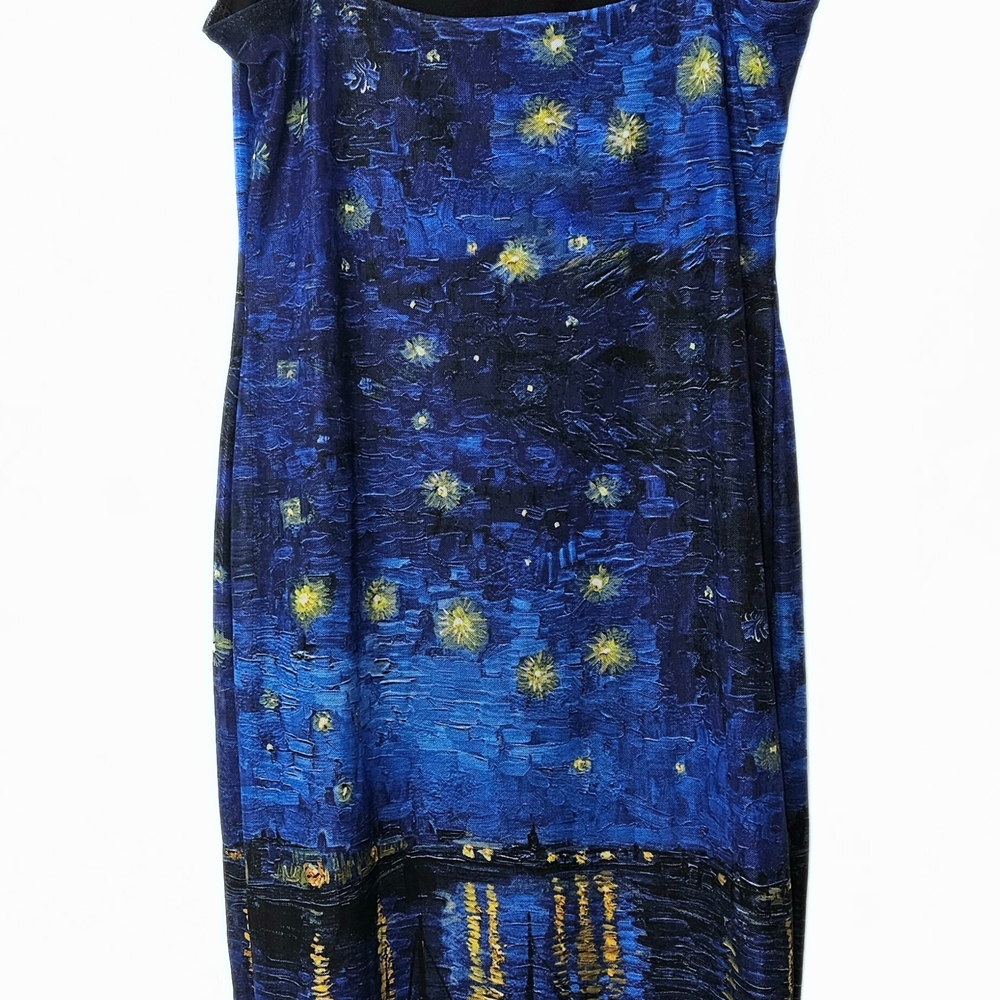 NWT! Starry Night Over The RhôneSheer Bodycon Slip Dress - Picture 7 of 9